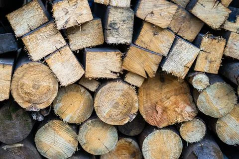 View of a cut of trees lying on top of each other and prepared like firewood Stock Photos