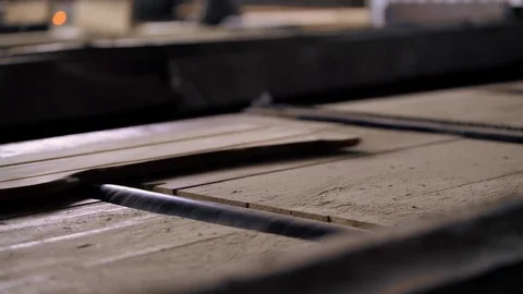 View of cutting machinery at saw mill Video stock 73454612
