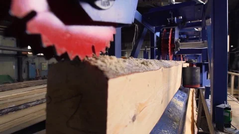View of cutting machinery at saw mill Video stock 73538875