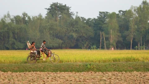 View of a cycle rickshaw van on a rural road, Bangladesh. Stock Footage 334979998