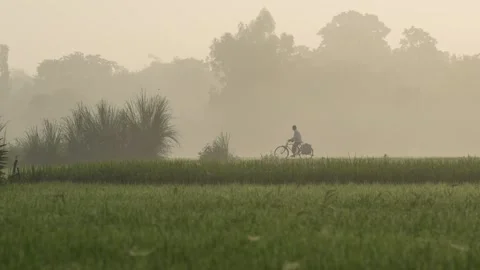 View of a cyclist riding through misty fields in Bogura, Bangladesh. Stock-Footage 335587824