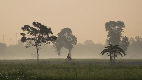 View of a cyclist riding through misty fields in Bogura, Bangladesh. Vídeos de archivo 335587872