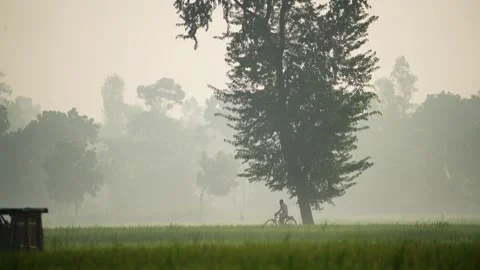 View of a cyclist riding through a misty rural landscape, Bangladesh. Vídeos de archivo 335591269