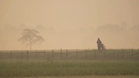 View of a cyclist riding through a misty rural landscape, Bangladesh. Vídeos de archivo 335593745