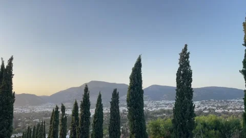 View on the cypress trees in Athens Stock-Footage 281091520
