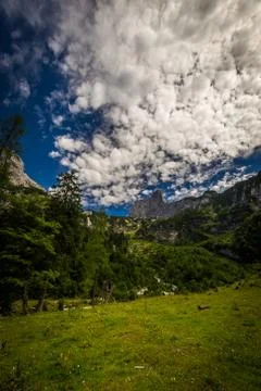 View to Dachstein from Hinterer Gosausee with dramatic blue sky and green forest Stock Photos