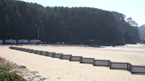 The view of Dadaepo Beach in Busan Stock Footage 101004230