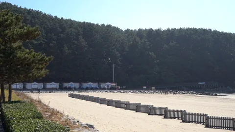 The view of Dadaepo Beach in Busan Stock Footage 101004250