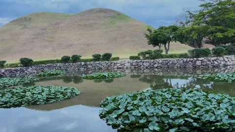 View of Daereungwon Tomb Complex in Gyeongju, South Korea. Video stock 343683437