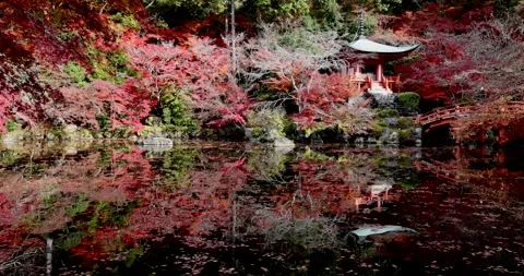 View of Daigo-ji temple with autumn foliage in Japan. Video stock 342285500