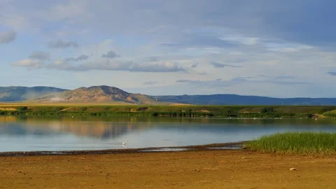 View of the Danube river shore in summer, Dobrogea, Romania Stock Footage 136027497