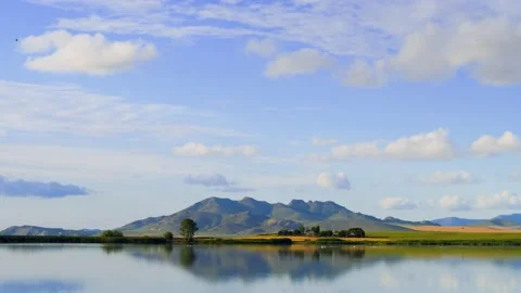 View of the Danube river shore in summer, Dobrogea, Romania Stock Footage 136027565
