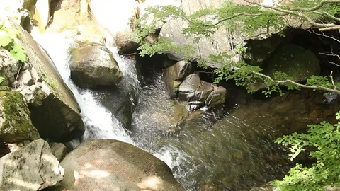 A view of Dardagna stream Video stock 99313966