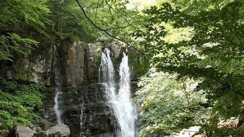 A view of Dardagna waterfall in tuscany Video stock 99314186