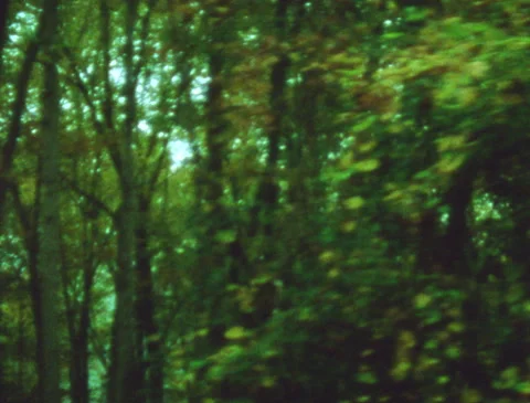 View of dark forest from moving car window, autumn, retro, vintage, Super 8 film 動画素材 280440428