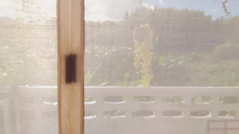 View from Dark Interior Kitchen Toward Backyard Where Bright Sunlight Stock Footage 319416808
