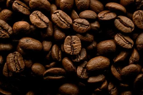 View of dark roasted coffee beans. Seamless coffee beans background. Stock Photos