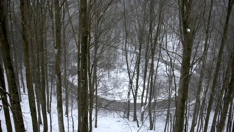 View of Dark Snowy Forrest in Winter with Road Crossing it Stock Footage 148491704