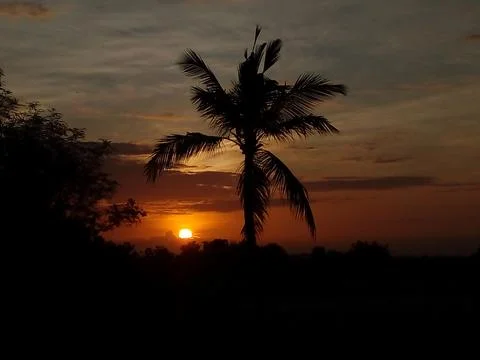 The view of the dark sunset, beautiful cloud, and trees Stock Photos