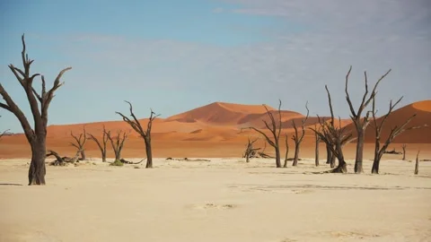 View of dead trees in Deadvlei, Namibia. Stock Footage 339917642
