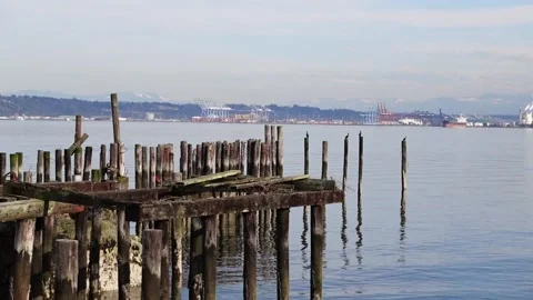 A view of decaying pier pilings along the Ruston Way waterfront that pans 스톡 동영상 158137699