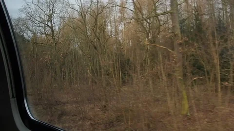 View of a deciduous and pine forest from a train window in winter. Germany Stock Footage 90527653