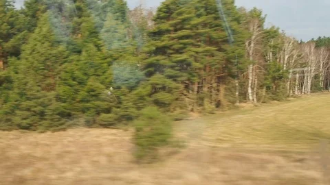 View of a deciduous and pine forest from a train window in winter. Germany Video stock 90527812