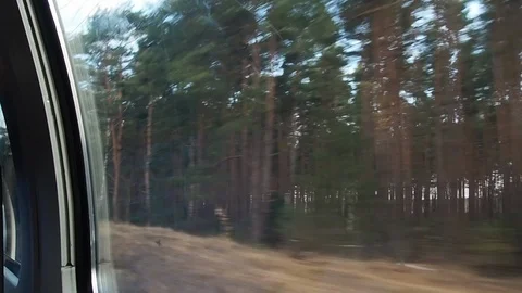 View of a deciduous and pine forest from a train window in winter. Germany Stock Footage 90527958