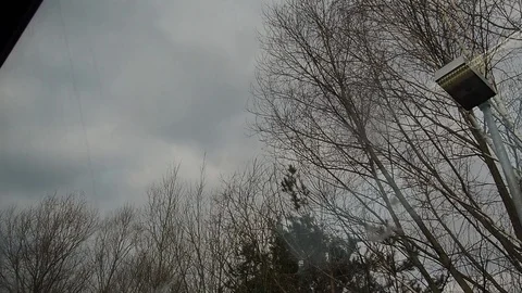 View of a deciduous  forest from a train window in winter. Germany Stock Footage 90528035