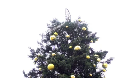 View of a decorated Christmas tree in Kiev square, Ukraine. Stock Footage 117343313
