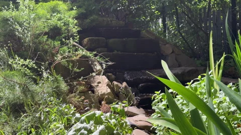 A view of a decorative alpine rock garden with a stream and plants in a summer g 스톡 동영상 310430382