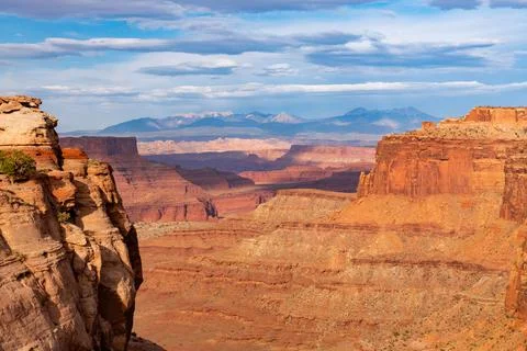 View of deep canyon and mountains in Canyonlands National Park Stock Photos