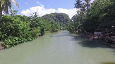 View of deep river in the Malta Forest Stock Footage 66337348