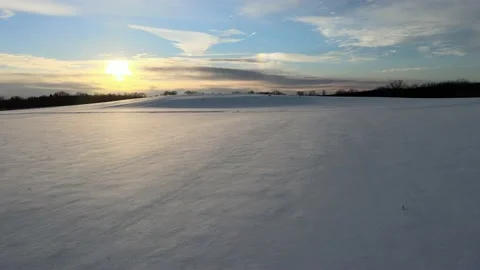 A View of the Deer Stock Footage 169055190