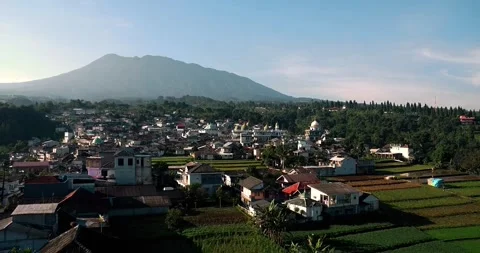 View of dense countryside 動画素材 273221901
