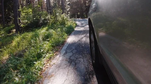 View dense forest and the rays of the sun breaking through the trees in summer Stock Footage 118937287