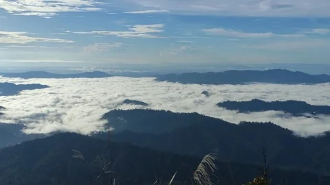 View of dense forest over mountains with clear sky Stock Footage 258348994