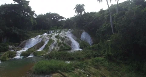 View of dense forest with palms, trees, tropical plants and beautiful waterfall Stock Footage 67998383