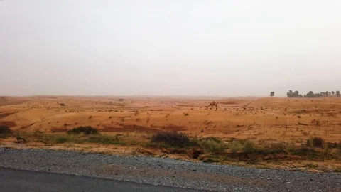 View of a desert from the car window with wet sand after rain Stock Footage 115447375