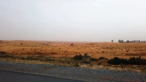 View of a desert during a sandstorm in the UAE Stock Footage 106671250
