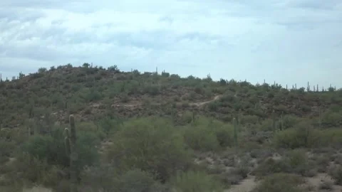View of a desert landscape with cacti from a moving vehicle in Arizona in s.. Stock Footage 280161975