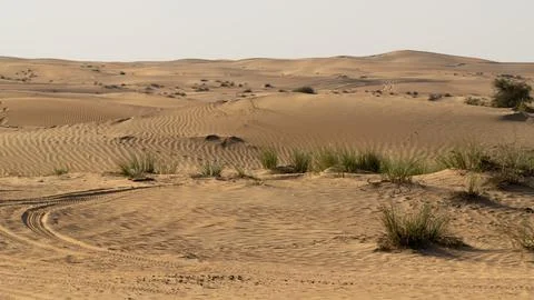 View of the desert landscape Stock Photos