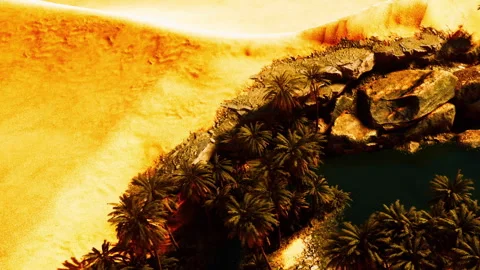 View of a desert oasis with palm trees and sandy dunes during daylight 스톡 동영상 345014187