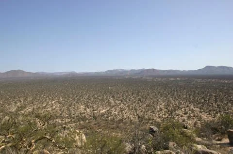 View of desert Stock Photos