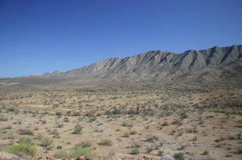 View of Desert Stock Photos
