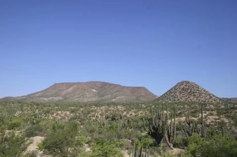 View of desert Stock Photos