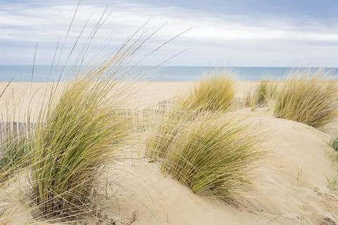 View of the deserted beach and the endless sea on a cloudy day Stock Photos