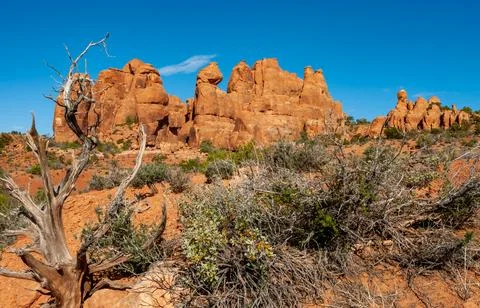 View from Devils Garden Hiking Trail in Arches National Park, Utah Stock-Fotos