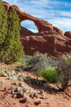 View from Devils Garden Hiking Trail in Arches National Park, Utah 库存照片