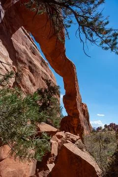 View from Devils Garden Hiking Trail in Arches National Park, Utah Фото